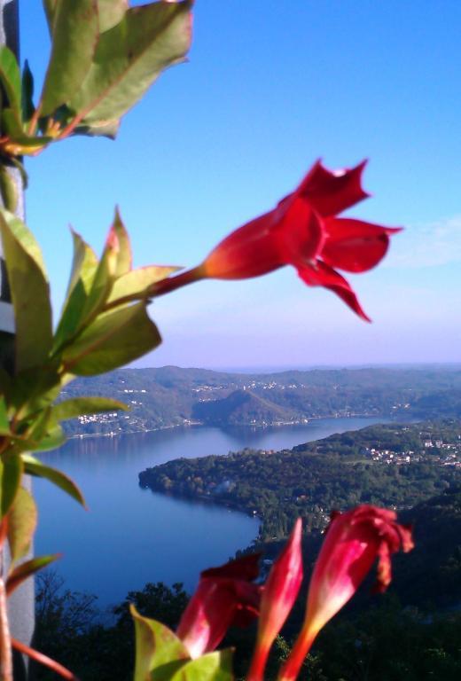 Hotel Panoramico Lago D'Orta (Adults Only) Madonna Del Sasso Dış mekan fotoğraf